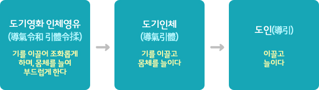 도인(導引) 개념 도식