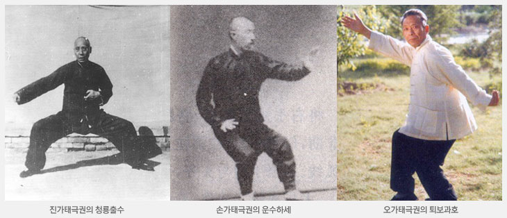 태극권 수련