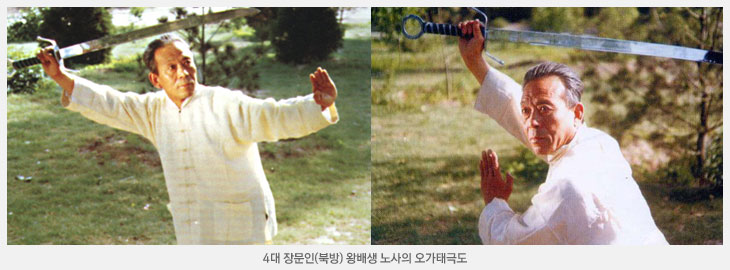 오가태극도