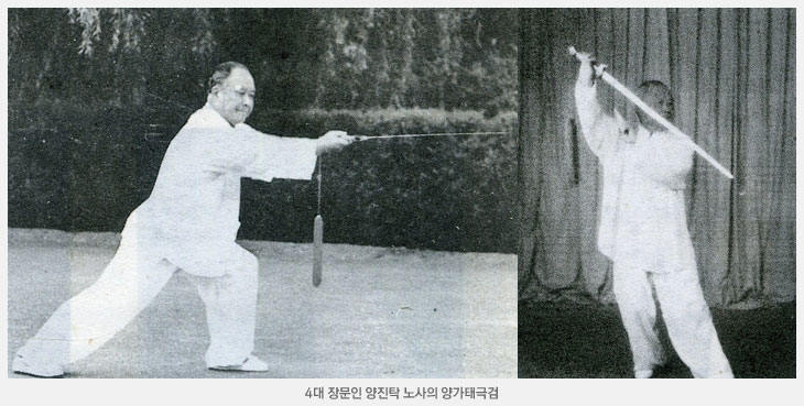 양가태극검