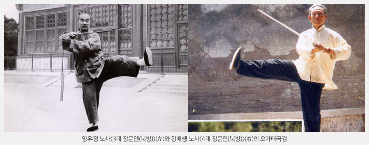 오가태극검