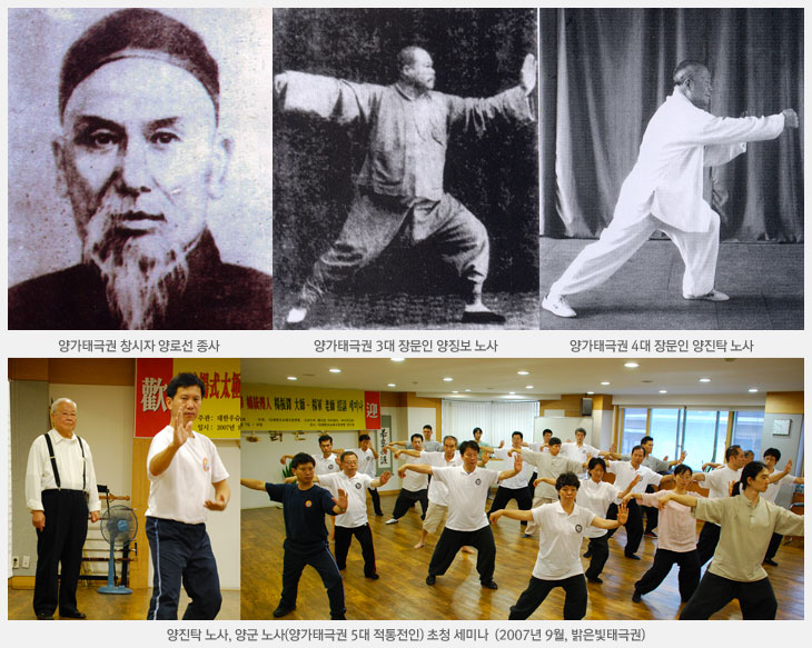 양가태극권