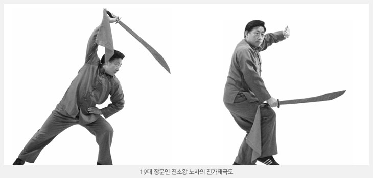 진가태극도