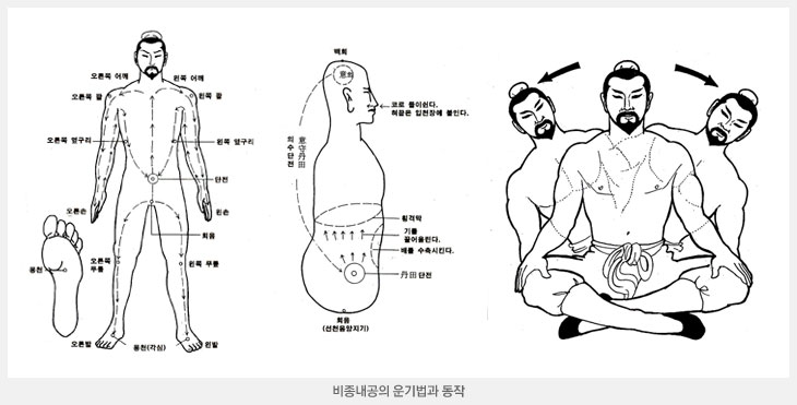 비종내공