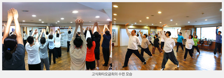 고식화타오금희