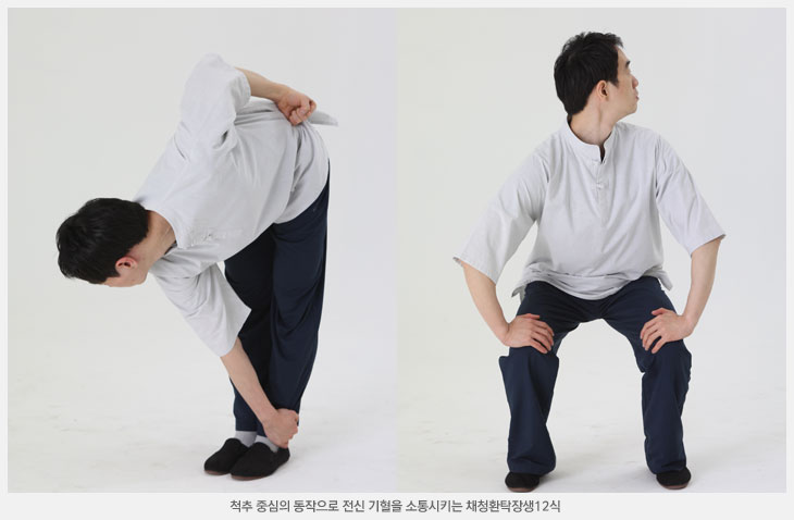 채청환탁장생12식